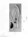 Fig. 02 - Article of footwear with cooling features
