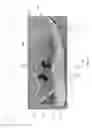 Fig. 03 - Article of footwear with cooling features