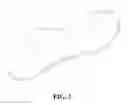 Fig. 02 - INSOLE FOR SHOES