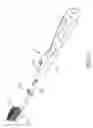 Fig. 12 - TOOTHBRUSH CAPABLE OF SEEING DENTAL PLAQUE