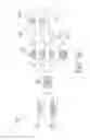 Fig. 32 - ADJUSTABLE BASE ASSEMBLIES, SYSTEMS AND RELATED METHODS