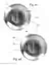 Fig. 07 - Disposable, recyclable barbecue grill
