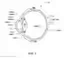 Fig. 02 - FEEDBACK-ASSISTED SYSTEM FOR NONPHARMACOLOGIC CONSTRICTION OF A PUPIL