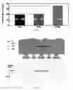 Fig. 34 - Systems, devices, and methods for contact measurement and modulation of material properties
