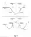 Fig. 10 - Method and apparatus for sensing respiratory pressure in an implantable stimulation system