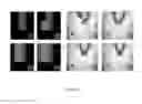 Fig. 05 - Automated system for measurement of spatial-cognitive abilities