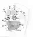 Fig. 01 - Selecting triggers of an allergic reaction based on nasal temperatures