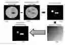 Fig. 01 - SYSTEM AND METHOD FOR IMAGING MACROPHAGE ACTIVITY USING DELTA RELAXATION ENHANCED MAGNETIC RESONANCE IMAGING