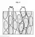 Fig. 06 - PORTABLE SKIN CONDITION MEASURING DEVICE, SKIN CONDITION ANALYZING METHOD, AND PROGRAM USING THE SAME