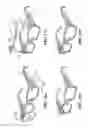 Fig. 07 - Neurofeedback eyeglasses