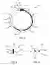 Fig. 03 - Wearable electronic device and method for manufacturing thereof