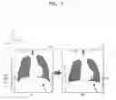 Fig. 08 - Method and apparatus for processing medical image
