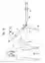 Fig. 40 - Tissue analysis by mass spectrometry or ion mobility spectrometry