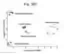 Fig. 52 - Tissue analysis by mass spectrometry or ion mobility spectrometry