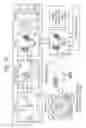 Fig. 53 - Tissue analysis by mass spectrometry or ion mobility spectrometry