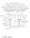 Fig. 80 - End effector for use with a surgical instrument