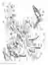 Fig. 95 - End effector for use with a surgical instrument