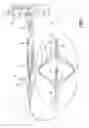 Fig. 02 - Vein occlusion assessment using temperature