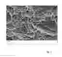 Fig. 02 - Process for preparing a body having an osseointegrative topography formed on its surface