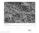 Fig. 03 - Process for preparing a body having an osseointegrative topography formed on its surface