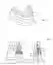 Fig. 04 - Kit for preparing a dental prosthesis