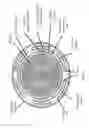 Fig. 08 - Accommodative intraocular lens that ejects post capsular opacification and self-centers
