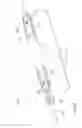 Fig. 06 - METHODS AND APPARATUSES FOR DEPLOYING MINIMALLY-INVASIVE HEART VALVES