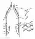 Fig. 01 - Everting heart valve