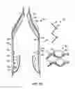 Fig. 05 - Everting heart valve