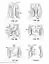 Fig. 24 - Everting heart valve