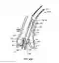 Fig. 60 - Everting heart valve