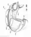 Fig. 47 - LOW PROFILE HEART VALVE AND DELIVERY SYSTEM