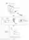 Fig. 03 - Delivery of Therapy to Living Tissue
