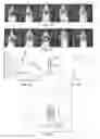 Fig. 13 - Delivery of Therapy to Living Tissue