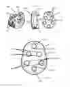 Fig. 08 - Prosthetic glenoid component