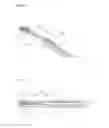 Fig. 20 - Cage having spike
