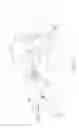 Fig. 25 - Implant placement