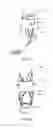 Fig. 05 - Knee Distractor Apparatus and Method