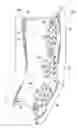 Fig. 01 - COMPRESSION THERAPY APPARATUS, SYSTEMS, AND METHODS