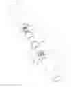 Fig. 02 - Portable roller massager