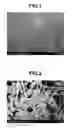 Fig. 02 - Method for producing elliptical, needle-shaped, or rod-shaped polymer particles