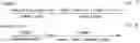 Fig. 03 - Method for preparing transmembrane pH-gradient vesicles