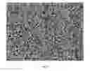 Fig. 07 - Process for producing layered bodies