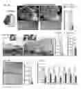 Fig. 06 - Treating atherosclerosis by removing senescent foam cell macrophages from atherosclerotic plaques