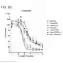 Fig. 06 - Methods and compositions for treating non-ERK MAPK pathway inhibitor-resistant cancers