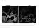 Fig. 15 - METHODS OF TREATMENT AND PHARMACEUTICAL COMPOSITIONS USING BCN057 OR BCN512