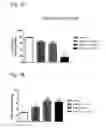 Fig. 02 - Systems and methods for treating an opioid-induced adverse pharmacodynamic response