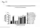Fig. 16 - Systems and methods for treating an opioid-induced adverse pharmacodynamic response