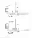 Fig. 06 - Chemically and metabolically stable dipeptide possessing potent sodium channel blocker activity