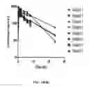 Fig. 14 - Theacrine-based supplement and method of use thereof in a synergistic combination with caffeine
